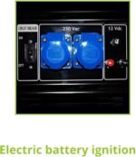 Générateur électrique essence monophasé Tecnoware 7800VA FGE7800E - Afbeelding 5