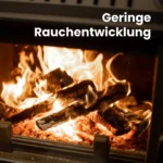 Kaminholz Buche kammergetrocknet | 1 RM ( Scheitlänge 25 cm ) – Bild 8