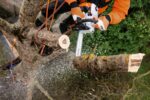Tronçonneuse Stihl MS 201 TC-M - Afbeelding 3