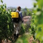 Berthoud Pulvérisateur Vermorel 2000 pro confort 16L - Afbeelding 2