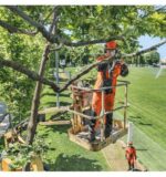 Elagueuse HUSQVARNA T435 35SN - Image 2