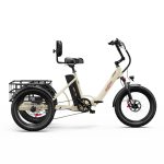 OneSport OT30 Pro Electric Cargo Tricycle