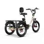 OneSport OT30 Pro Electric Cargo Tricycle – Image 2