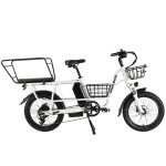 PHILODO Traveller Family & Cargo Electric Bike